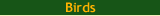 Birds.